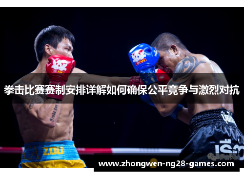 拳击比赛赛制安排详解如何确保公平竞争与激烈对抗 拳击比赛赛制安排详解如何确保公平竞争与激烈对抗
