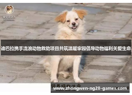 迪巴拉携手流浪动物救助项目共筑温暖家园倡导动物福利关爱生命 迪巴拉携手流浪动物救助项目共筑温暖家园倡导动物福利关爱生命